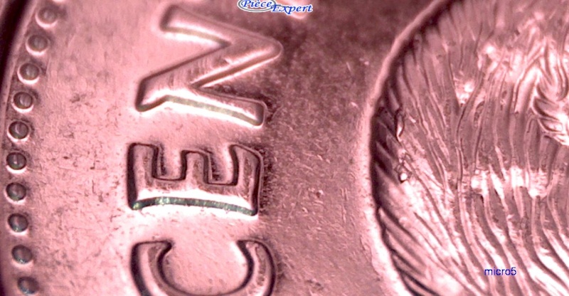2008 - Éclat de Coin sur le Dos du Castor (Die Chip) 5_cen205