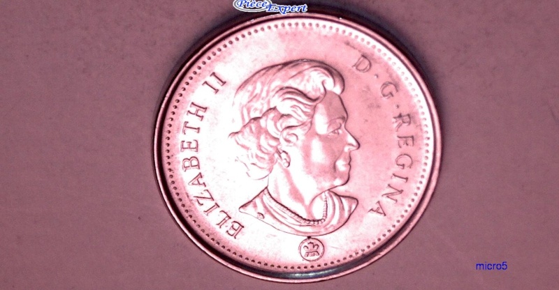 2008 - Éclat de Coin sur le Dos du Castor (Die Chip) 5_cen207
