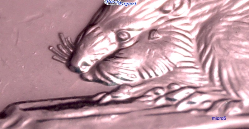 2006P - Coin Entrechoqué sous la Bouche du Castor (Die clash) 5_cen308