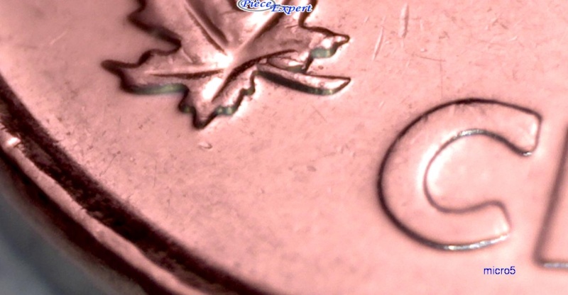 2005P - V,  Éclat de Coin, dans Feuille & 45 (Die Chip) 5_cen358