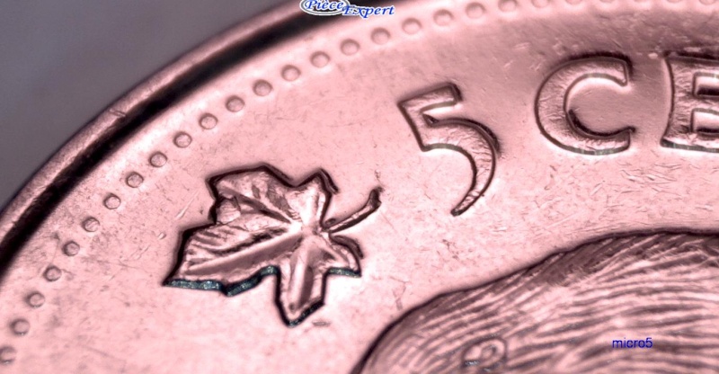 2009 - Éclat de Coin, cAnada, Feuille de Gauche & Queue Castor (Die Chip) 5_cen360