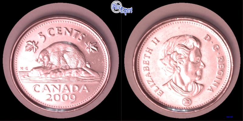 2009 - Éclat de Coin, cAnada, Feuille de Gauche & Queue Castor (Die Chip) 5_cen367