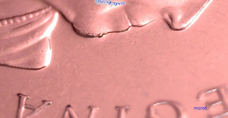 2008 - Éclat de Coin sur le Menton de la Reine (Die Chip) 5_cen416