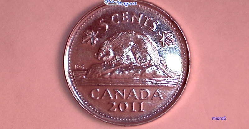 2011 - Éclat de Coin, le 2ième A de CANADA (Die Chip) 5_cent44