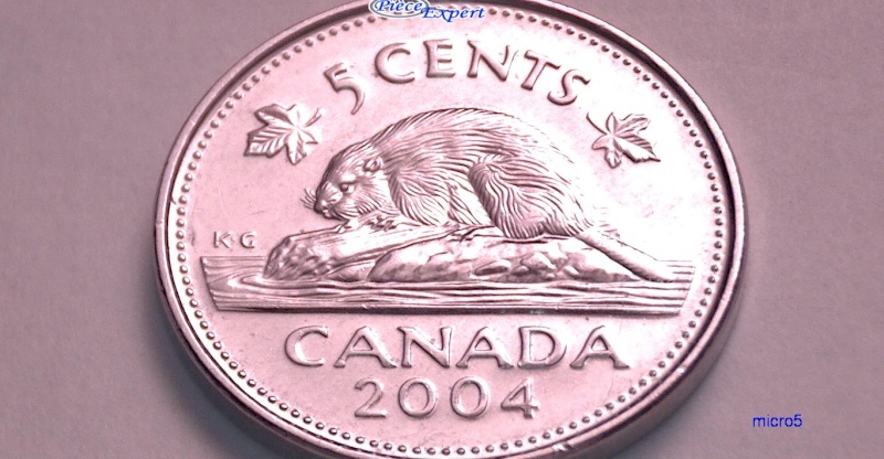 2004P - Éclat de Coin, dans le "4" (Die Chip) 5_cent62