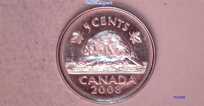 2008 - Éclat de Coin sur le Dos du Castor (Die Chip) Cpe_im48