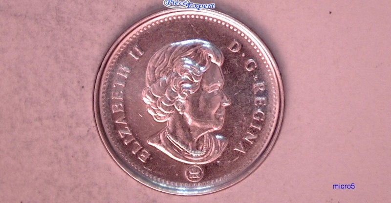 2008 - Éclat de Coin sur le Dos du Castor (Die Chip) Cpe_im49