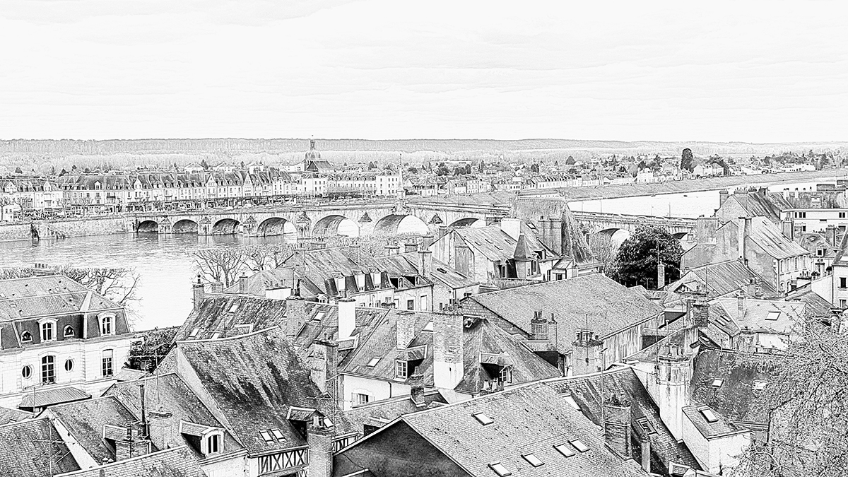Les toits de Blois Les_to10