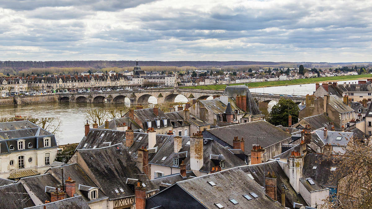 Les toits de Blois Les_to11