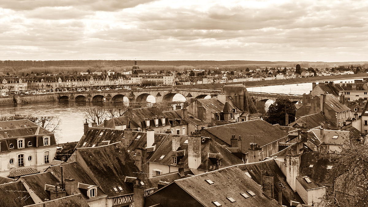 Les toits de Blois Les_to12