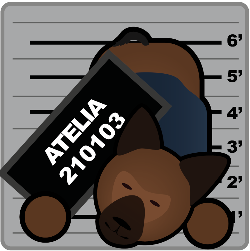 Avoir votre avatar "Prison Architect" - Page 6 Atelia11