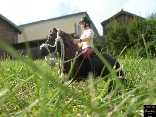 QuickPony Photography ♥ Mayva_10