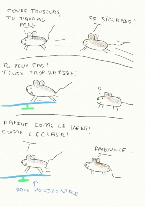 Vie de Rat Logiqu11