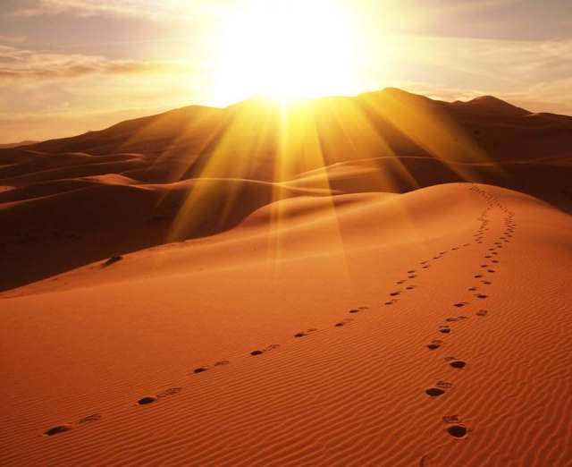 Traces de pas dans le désert (image janvier 2015 - archivage des textes) Traces11