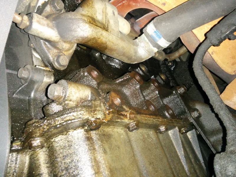 Pulizia olio preistorico nel vano motore Img_2016
