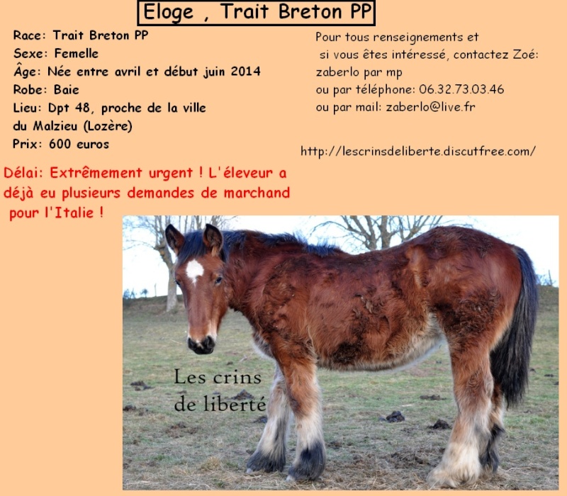 Dpt 48 - Eloge - Trait breton PP - Sauvée (2015) Les_cr21