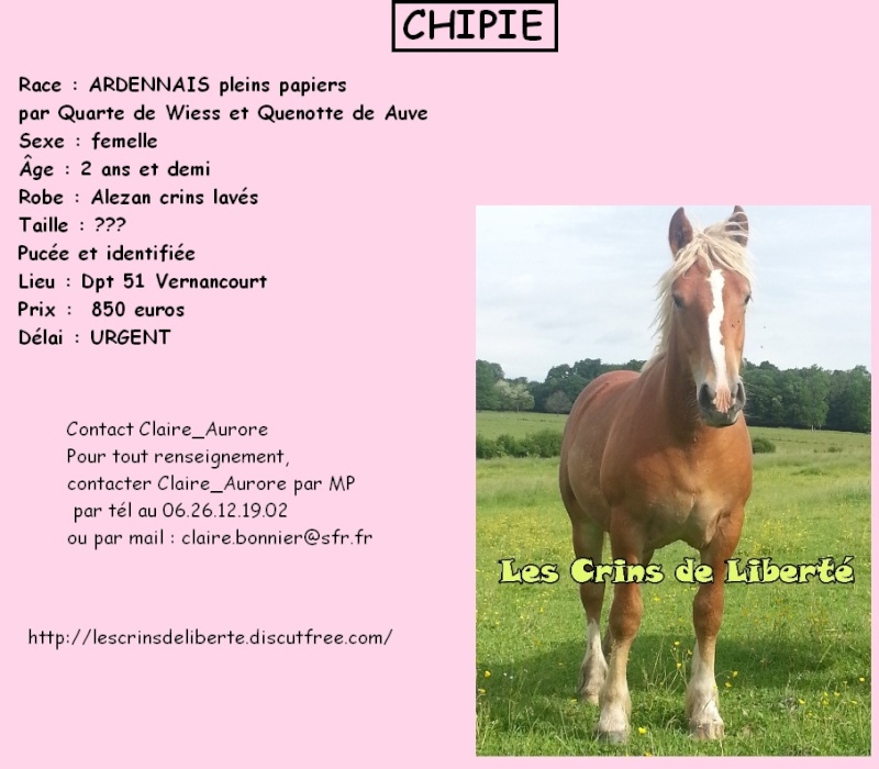 (Dpt 51) CHIPIE - Trait ARDENNAIS - réservée par Lena !!!!!!!!! (Mars 2015) Les_cr45