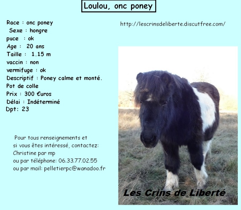 Dpt 23 – Pompon et Loulou (décédé), adoptés par Nathalie.(février 2015) Lesz_c11