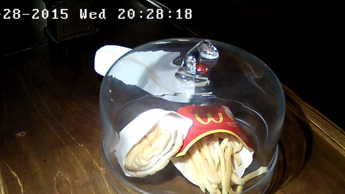 Guess the age of this  Mcdonald Burger  and fries?  Mcdona11