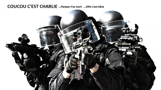 Merci Charlie - Page 21 Gign2011