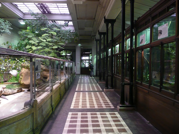 Vivarium de la Ménagerie du Jardin des Plantes de Paris Instal10