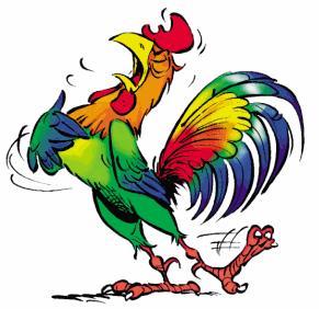 CR balade du dimanche 08 février 2015 Coq_0110