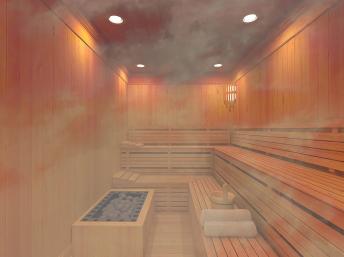 CR balade du dimanche 08 février 2015 Sauna10
