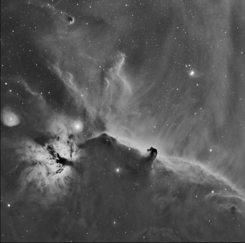 Ic434 La tête de cheval et la flamme en Ha Ic434_10