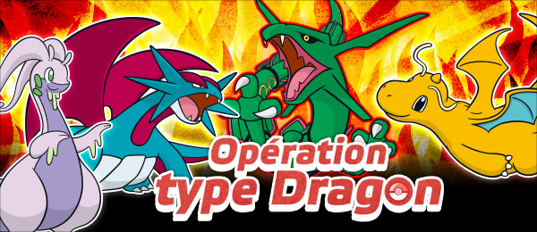 Compétition internet : Opération type Dragon ! Detail10