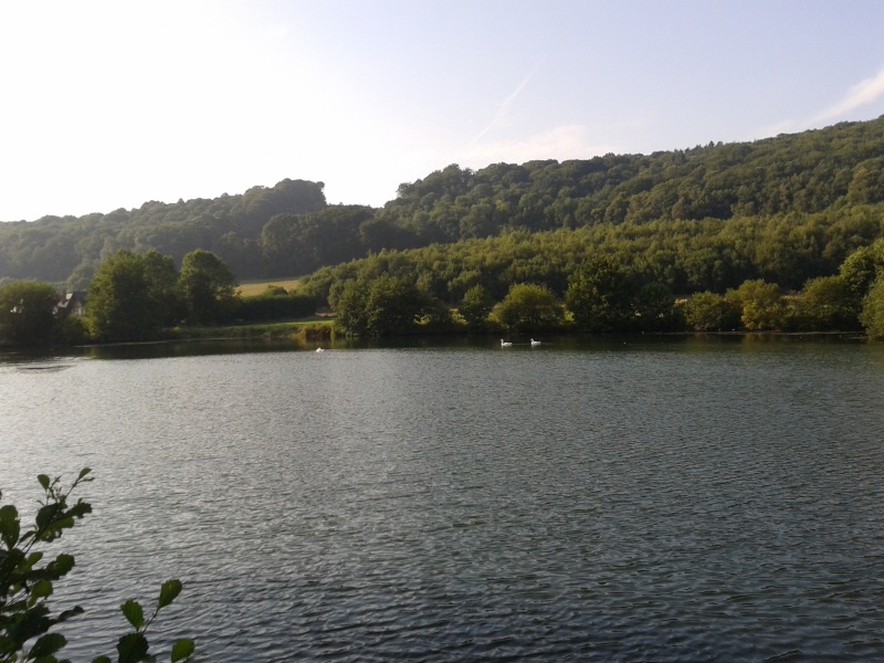 coment aborder un etang tres peu peche et avec des amours blancs? Photo-24