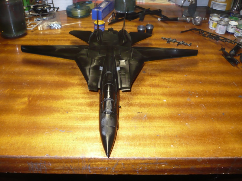 F-14A Black Tomcat 48e Revell  P1060820