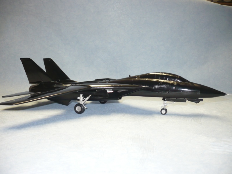 F-14A Black Tomcat 48e Revell  - Page 2 P1060847