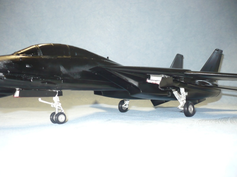 F-14A Black Tomcat 48e Revell  - Page 2 P1060851