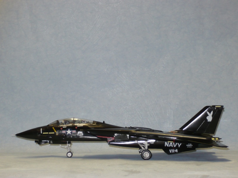 F-14A Black Tomcat 48e Revell  - Page 2 P1060921