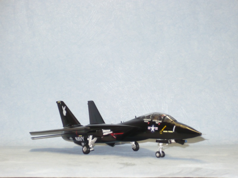 F-14A Black Tomcat 48e Revell  - Page 2 P1060923