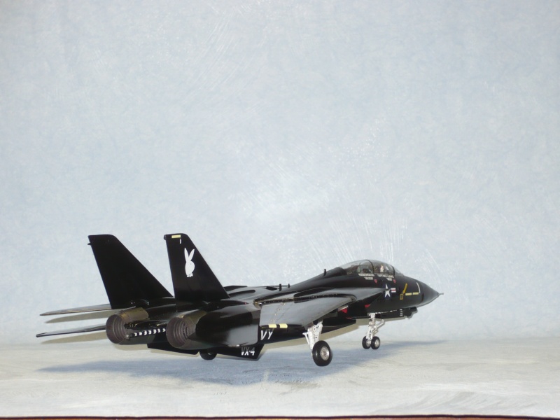 F-14A Black Tomcat 48e Revell  - Page 2 P1060924