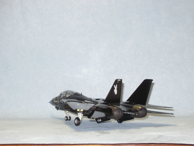 F-14A Black Tomcat 48e Revell  - Page 2 P1060925