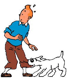 affaire à faire  /solde / mode  Tintin10