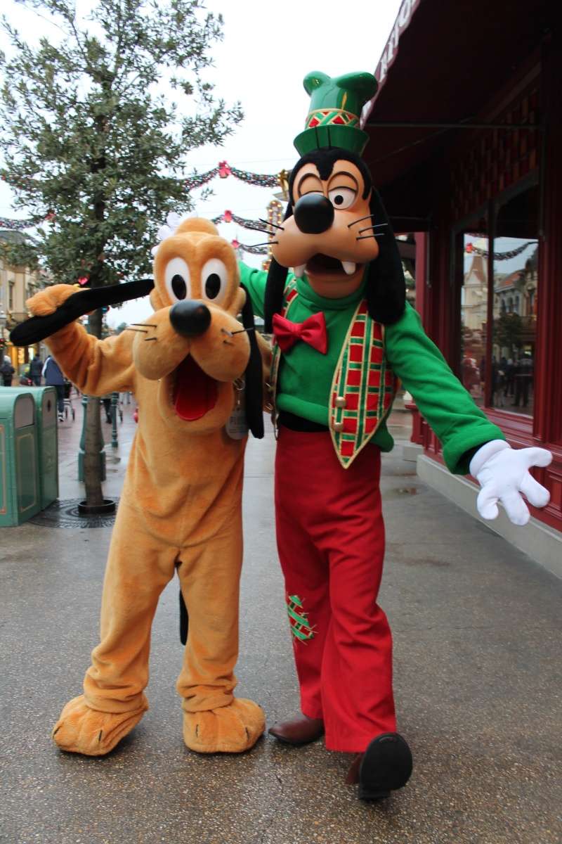 Un premier séjour magique pour le noël 2014 à Disney - Page 6 Dingo_10