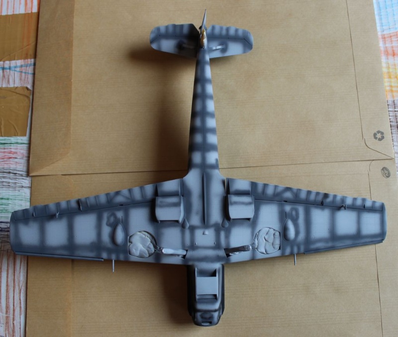  ABANDON : Bf109 E7 eduard 1/32  - Page 3 Img_3122