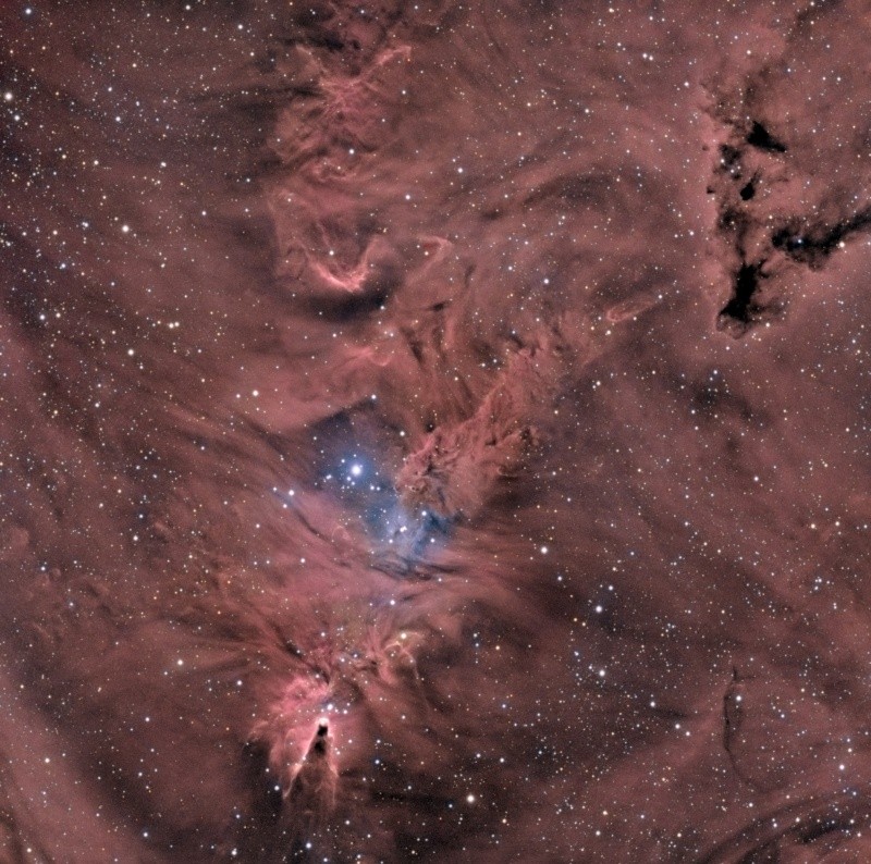 NGC 2264 en HRVB Ngc22614