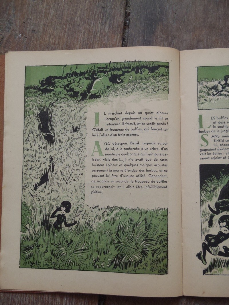 Pierre Probst : son oeuvre, Caroline et ses amis en France et dans le monde - Page 21 P2220314