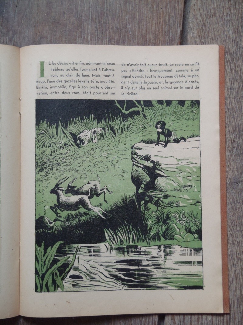 Pierre Probst : son oeuvre, Caroline et ses amis en France et dans le monde - Page 22 P2220412