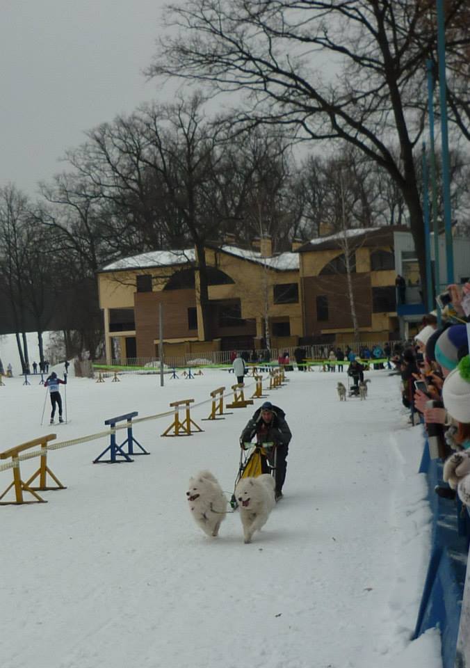 2015 01 17 Харьков. ФЕСУ. Три кола зимового пекла 2015. 1 этап.  10915310