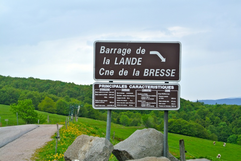 La route des crêtes Dsc_0510