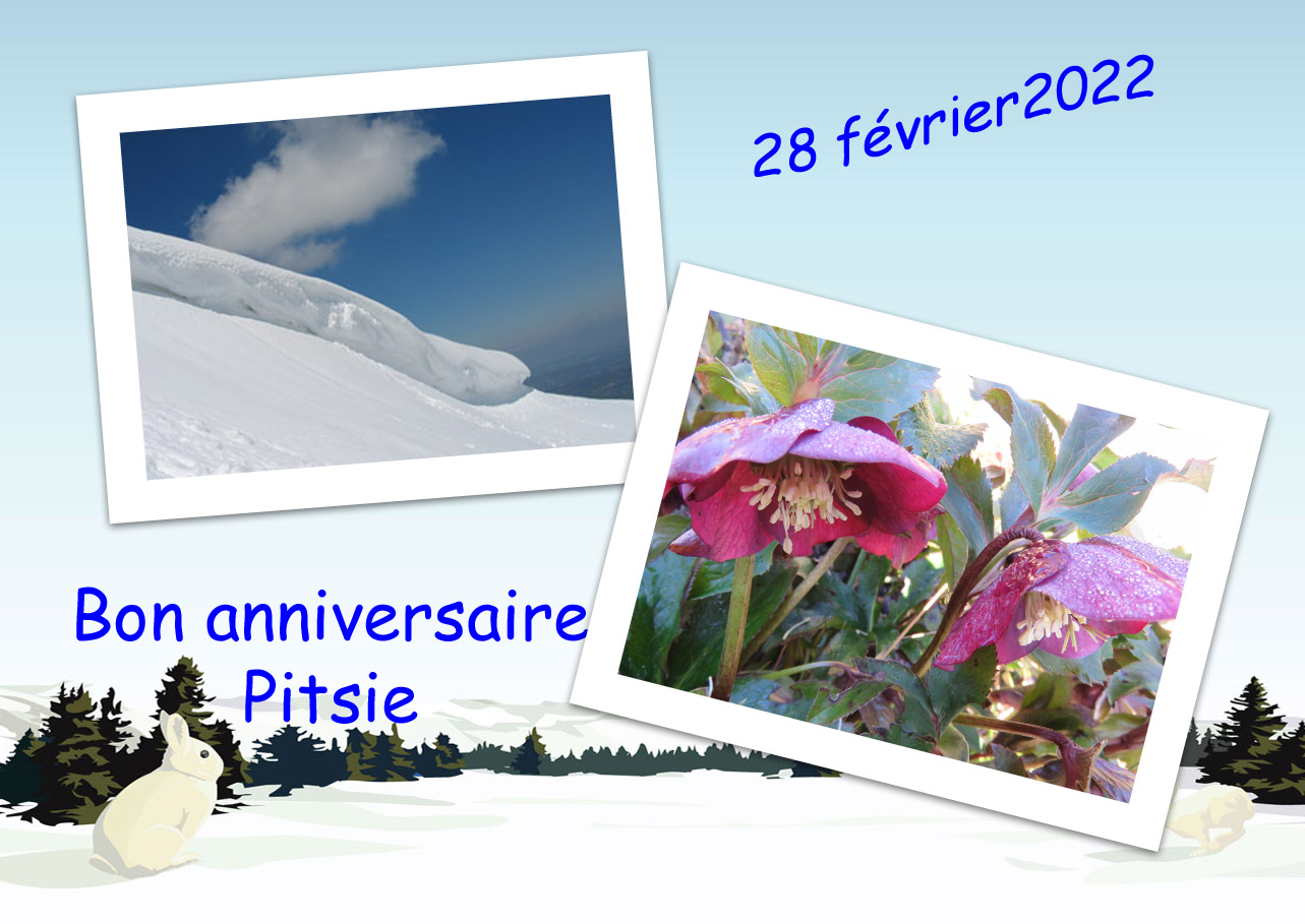 Nos dates  d'anniversaires - Page 2 28_fzo10