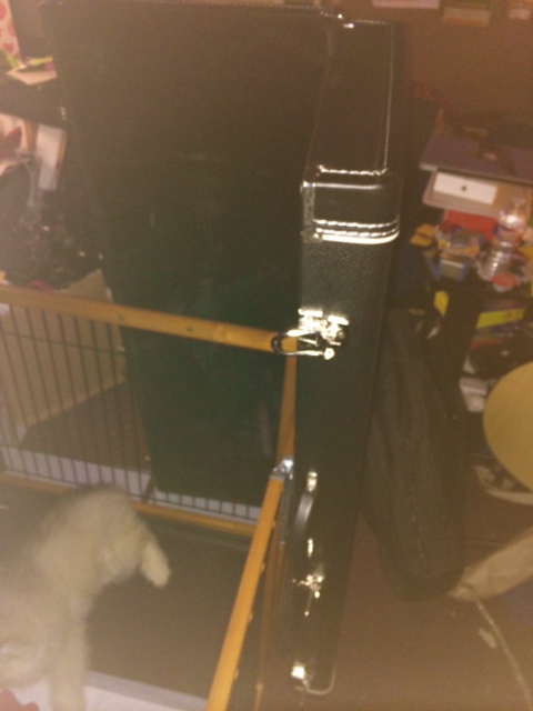 Mylo's first escape! Photo_10
