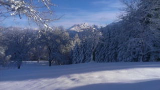 DENT DE VALERETTE 18 JANVIER 2015 2015-012