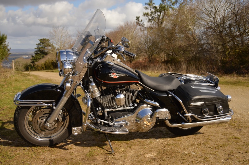 Road King uniquement, combien sur Passion-Harley  - Page 14 Rk201512