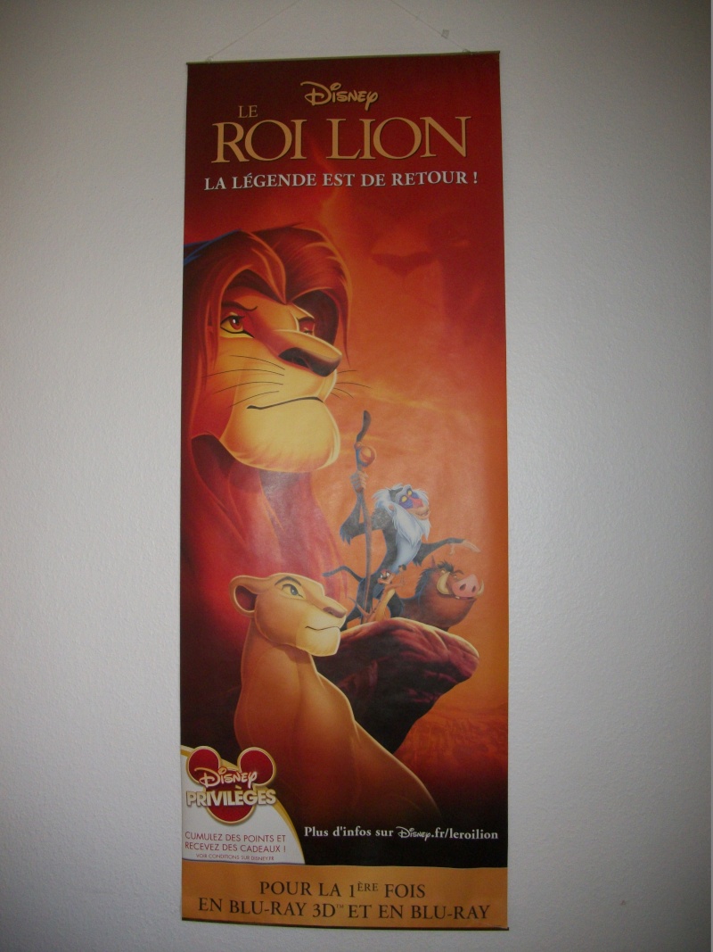 Le Roi Lion - Page 6 100_1510